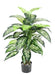 Kunstig Dieffenbachia Plante 100 Cm For Innendørs