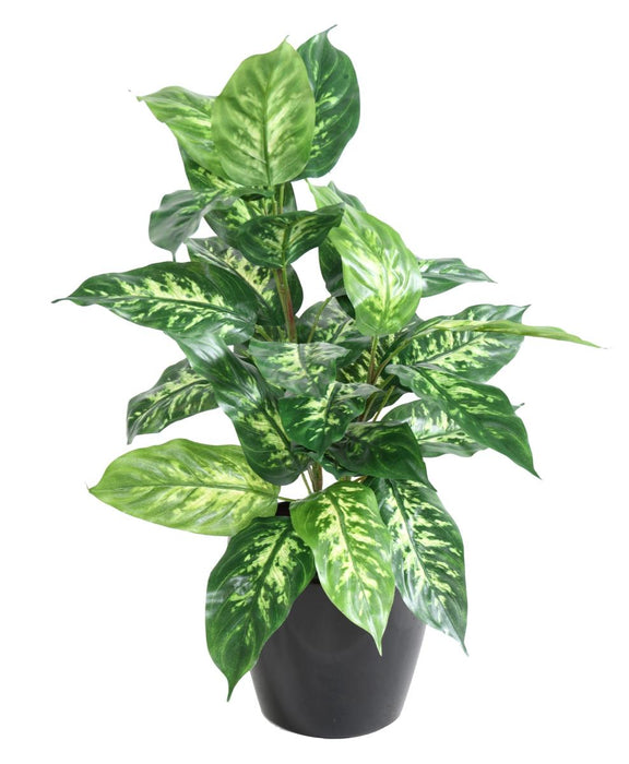 Kunstig Plante Dieffenbachia 70 Cm Dekorativ Stake