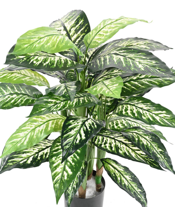 Kunstig Plante Dieffenbachia 80Cm Interiørdekorasjon