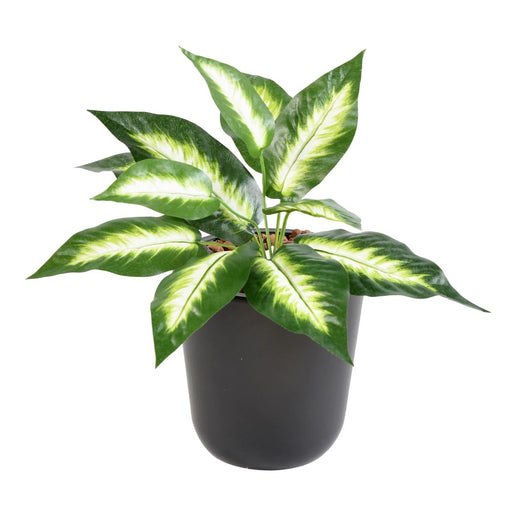 Kunstig Plante Dieffenbachia Mini 30Cm På Stake