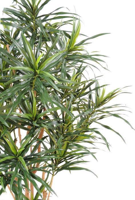 Kunstig Plante Dracaena 125 Cm Til Dekorasjon