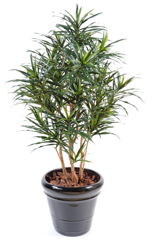 Kunstig Plante Dracaena 125 Cm Til Dekorasjon