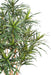 Kunstig Plante Dracaena 155Cm For Innendørs