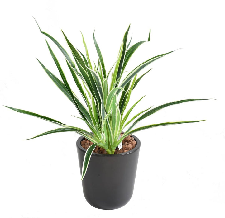 Kunstig Plante Dracaena 4 Tufter H40Cm Spraglete