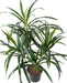 Kunstig Plante Dracaena 45 Cm For Interiørdekorasjon