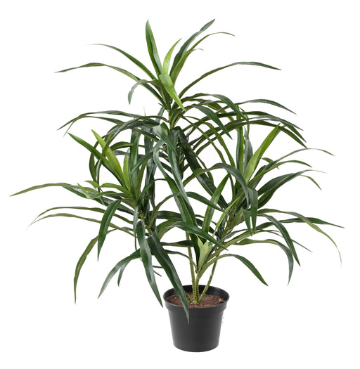 Kunstig Plante Dracaena 45 Cm For Interiørdekorasjon