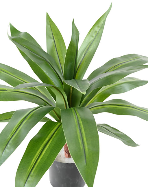 Kunstig Plante Dracaena 55 Cm Interiørdekorasjon