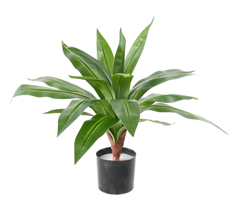 Kunstig Plante Dracaena 55 Cm Interiørdekorasjon