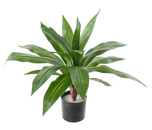 Kunstig Plante Dracaena 55 Cm Interiørdekorasjon