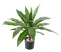 Kunstig Plante Dracaena 55 Cm Interiørdekorasjon