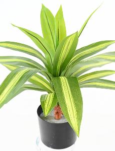 Kunstig Plante Dracaena 55Cm Spraglete