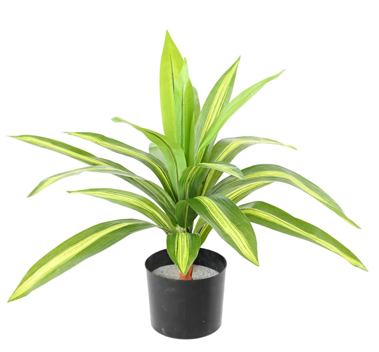 Kunstig Plante Dracaena 55Cm Spraglete