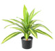 Kunstig Plante Dracaena 55Cm Spraglete