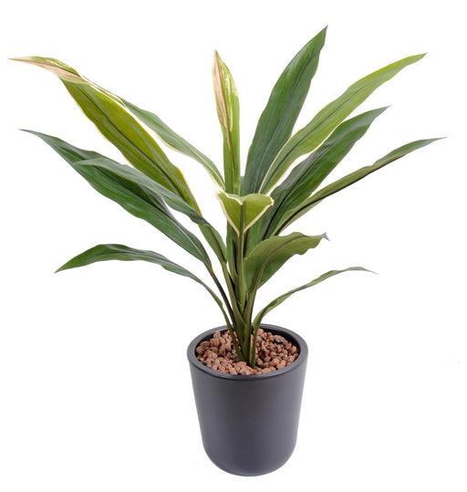 Kunstig Plante Dracaena Cordyline 60 Cm Grønn Gul