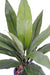 Kunstig Plante Dracaena Cordyline 60Cm Grønn