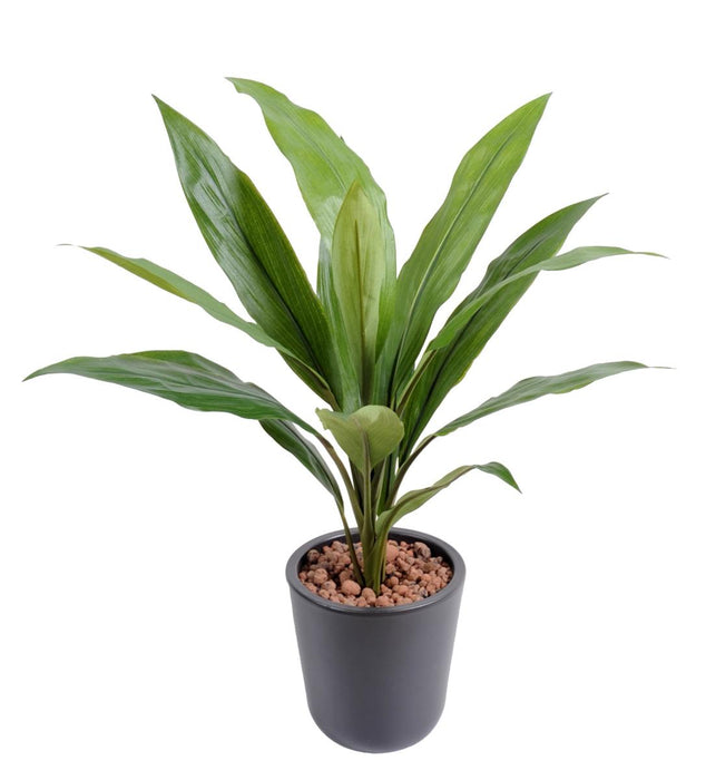 Kunstig Plante Dracaena Cordyline 60Cm Grønn