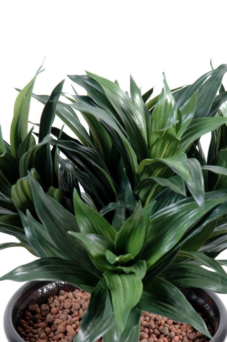 Kunstig Plante Dracaena Fragans På Stake 53Cm