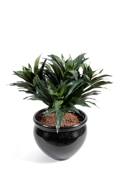 Kunstig Plante Dracaena Fragans På Stake 53Cm