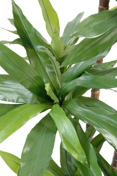 Kunstig Plante Dracaena Fragrans 145Cm Grønn