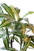 Kunstig Plante Dracaena Fragrans 90Cm Dekorativ