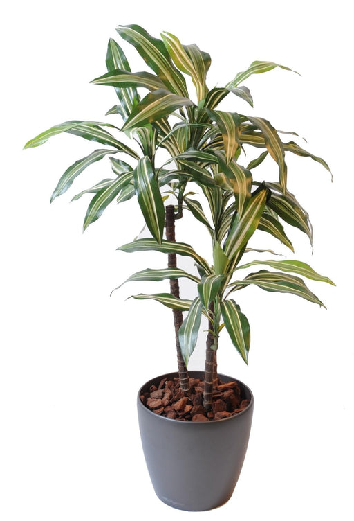 Kunstig Plante Dracaena Fragrans 90Cm Dekorativ