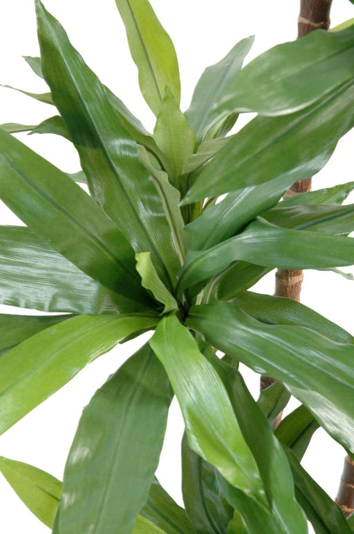 Kunstig Plante Dracaena Fragrans 95Cm Grønn