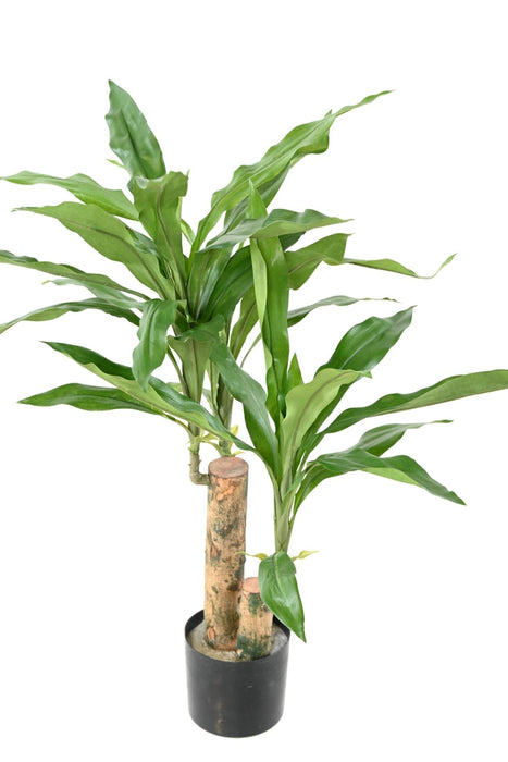 Kunstig Plante Dracaena Fragrans H.60Cm Grønn