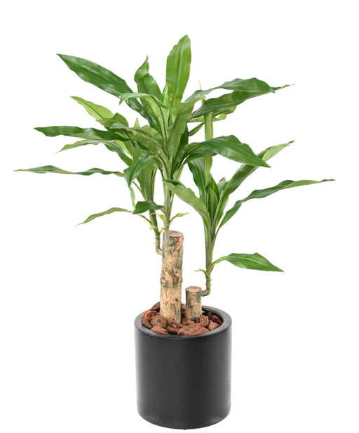 Kunstig Plante Dracaena Fragrans H.60Cm Grønn