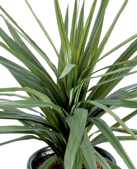 Kunstig Plante Dracaena Marginata 45 Cm Dekor