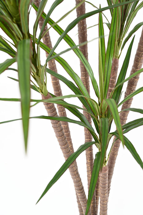 Kunstig Plante Dracaena Marginata H.160Cm Grønn