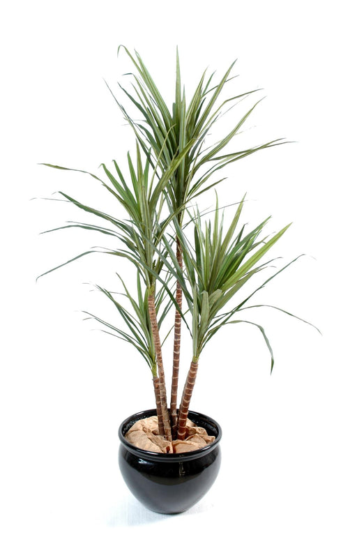 Kunstig Plante Dracaena Marginata H.160Cm Grønn