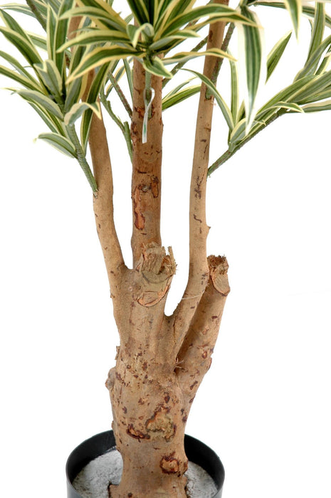 Kunstig Plante Dracaena Reflexa 150Cm Dekorasjon