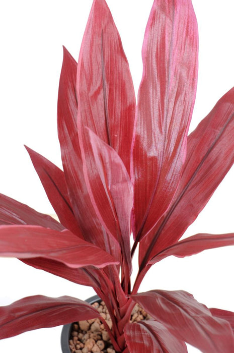 Kunstig Plante Dracaena Red H.60Cm Stake