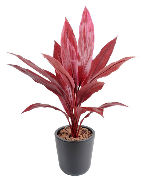 Kunstig Plante Dracaena Red H.60Cm Stake