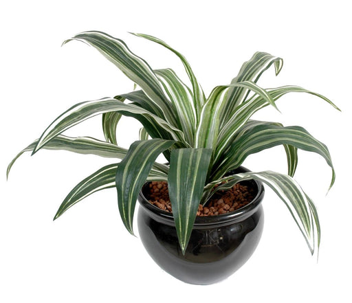 Kunstig Plante Dracaena Warneki Stake 35Cm