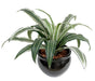 Kunstig Plante Dracaena Warneki Stake 35Cm