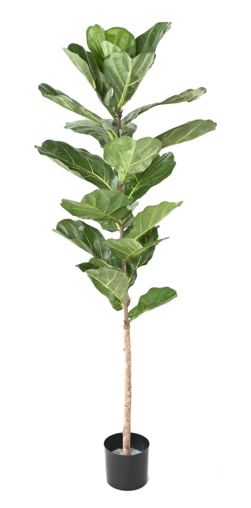 Kunstig Plante Ficus Lyrata 160 Cm Grønn