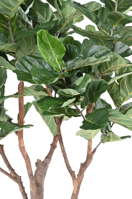 Kunstig Plante Ficus Lyrata 290Cm Grønn