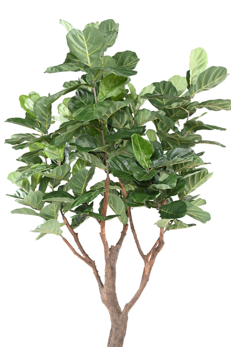 Kunstig Plante Ficus Lyrata 290Cm Grønn