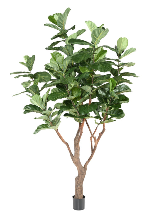 Kunstig Plante Ficus Lyrata 290Cm Grønn