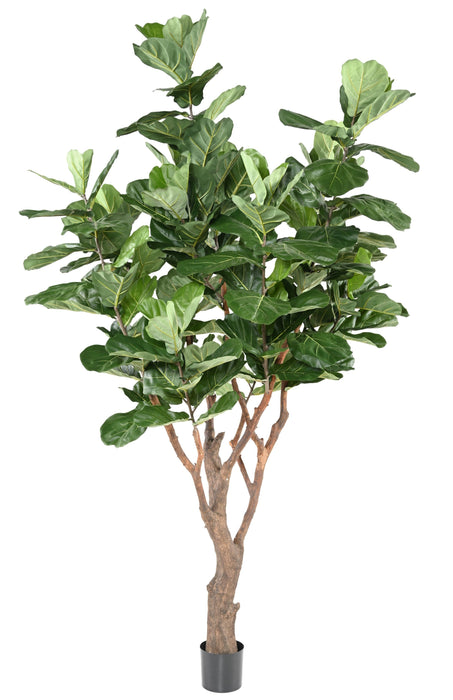 Kunstig Plante Ficus Lyrata 290Cm Grønn