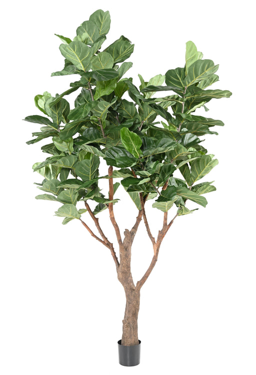 Kunstig Plante Ficus Lyrata 290Cm Grønn