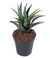 Kunstig Furcraea Plante 28 Cm For Innendørs