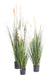 Kunstgress Carex Plante 180 Cm Grønn