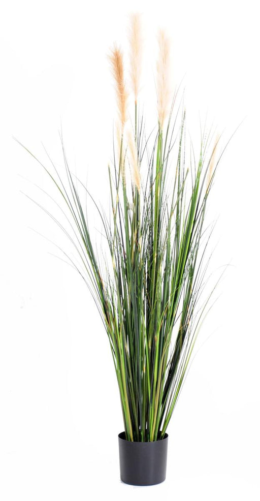 Kunstgress Carex Plante 180 Cm Grønn