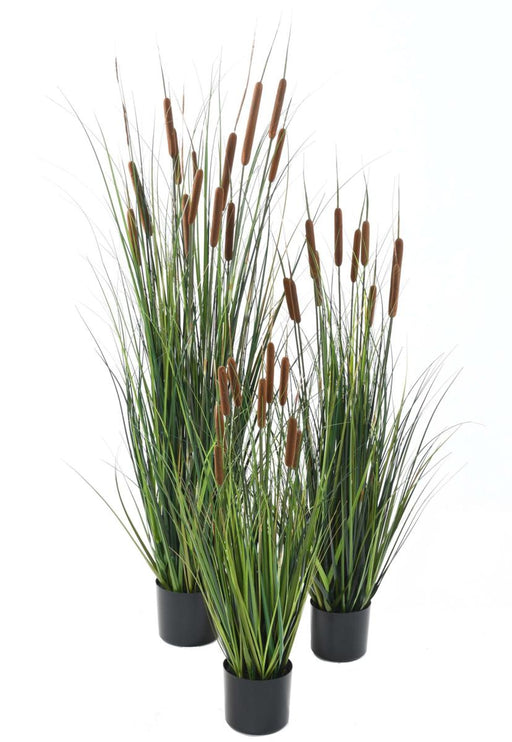 Kunstig Cattail Gras Plant 150 Cm I Pot