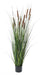 Kunstig Cattail Gras Plant 150 Cm I Pot