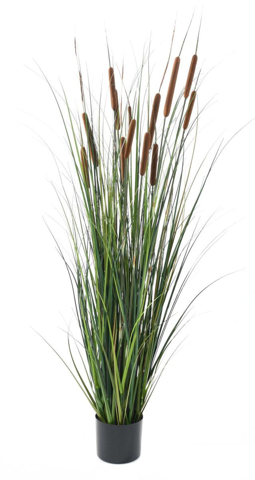 Kunstig Cattail Gras Plant 150 Cm I Pot