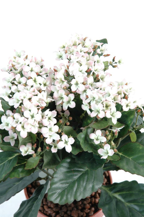 Kunstig Plante Kalanchoe 25Cm Hvit På Stake