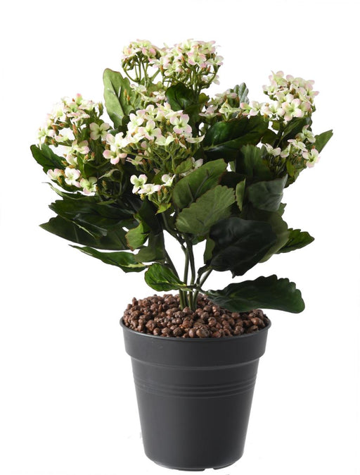 Kunstig Plante Kalanchoe 25Cm Hvit På Stake